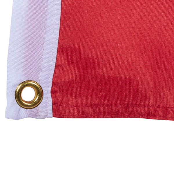 Drapeau suisse 120 x 120 cm