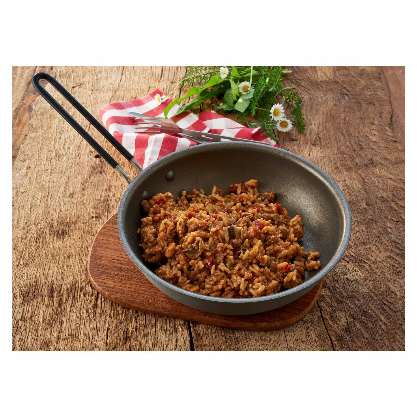 TrekN Eat Bœuf strogonoff au riz