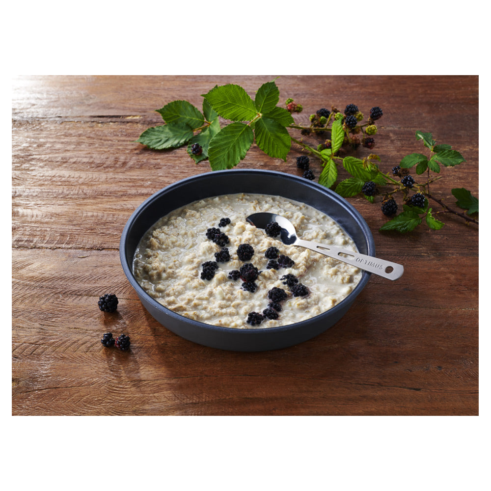 Trek'n Eat Porridge protéiné