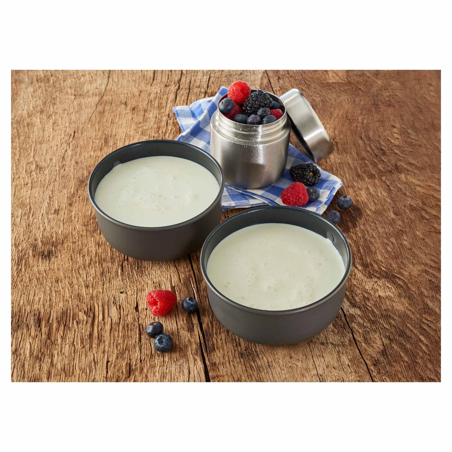 Trek'n Eat Lait entier en poudre