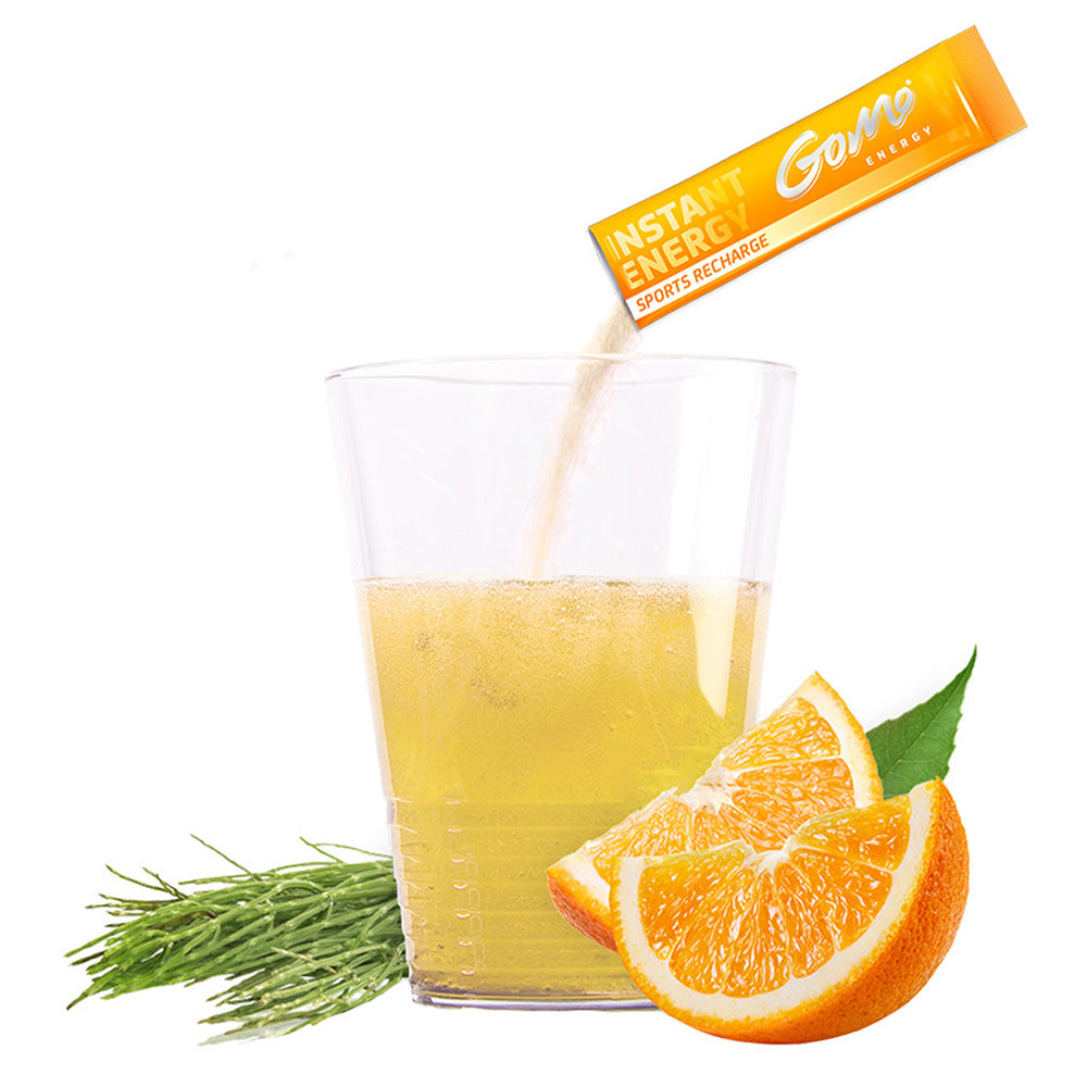 GoMo Poudre Énergisante Sports Recharge 5.3 g