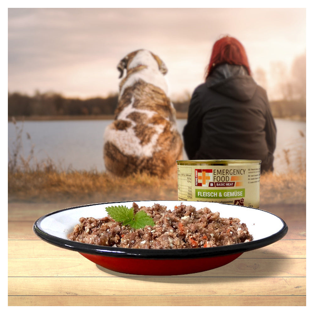 Basics Meat Viande et légumes