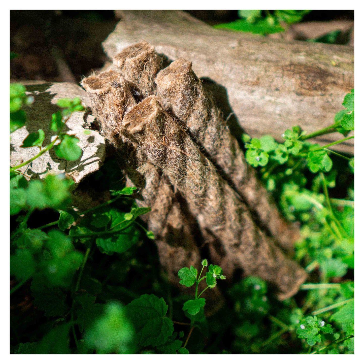 Corde de chanvre FAT Rope nature