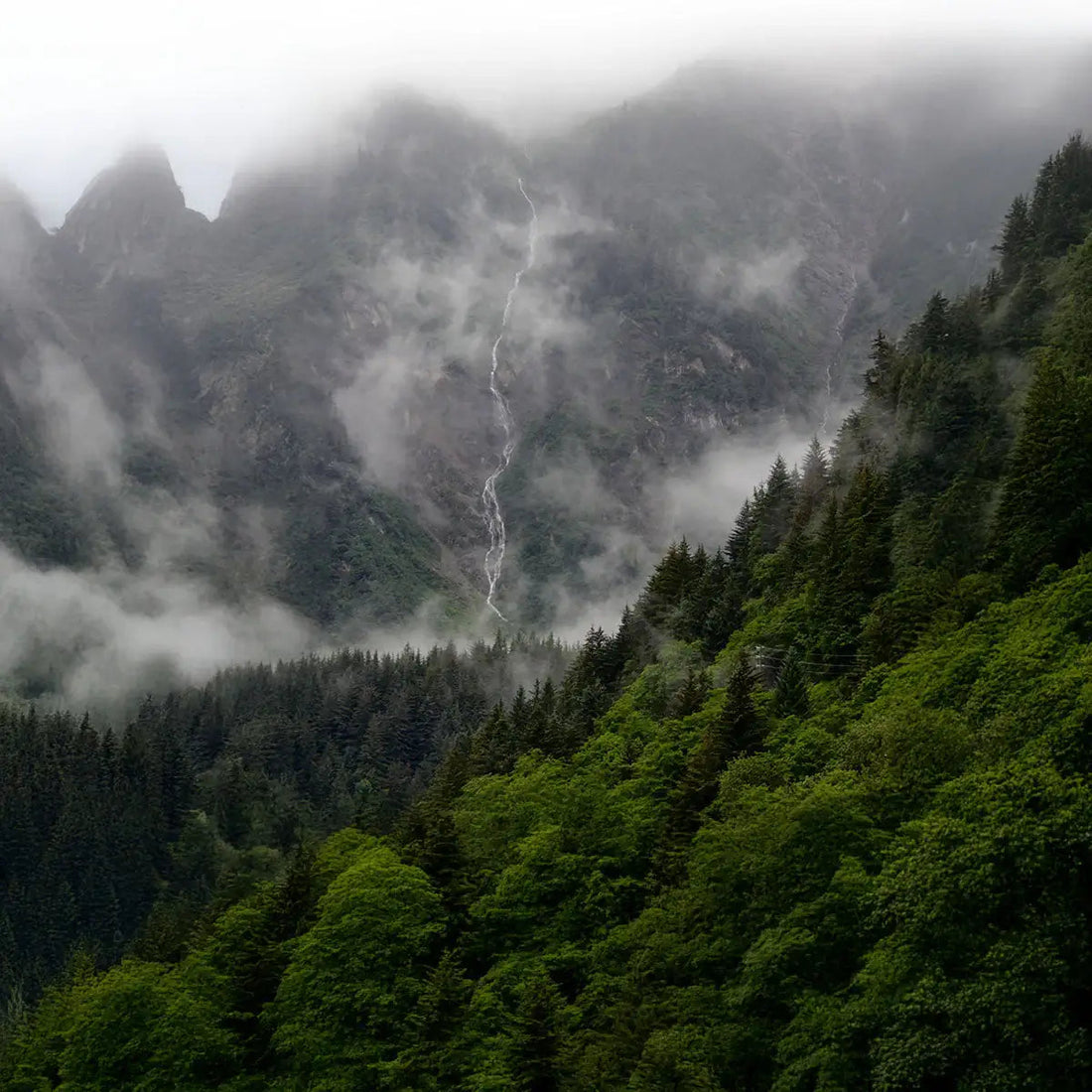 Wald mit Bergen und ein kleiner Wasserfall im Hintergrund.