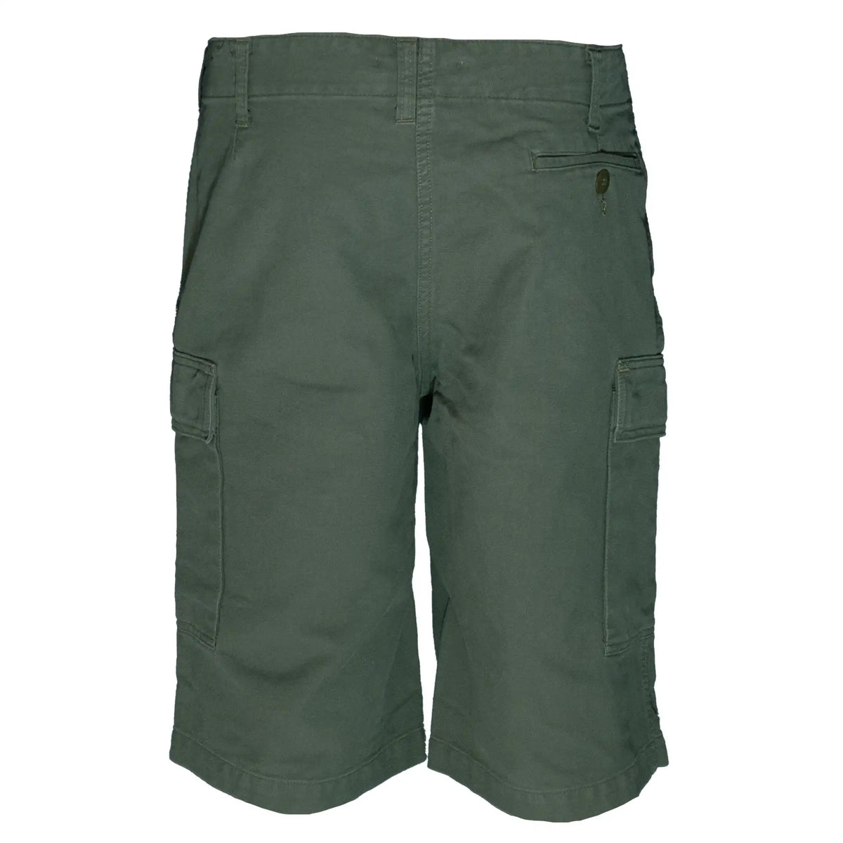 Shorts BW bermuda moleskine lavé