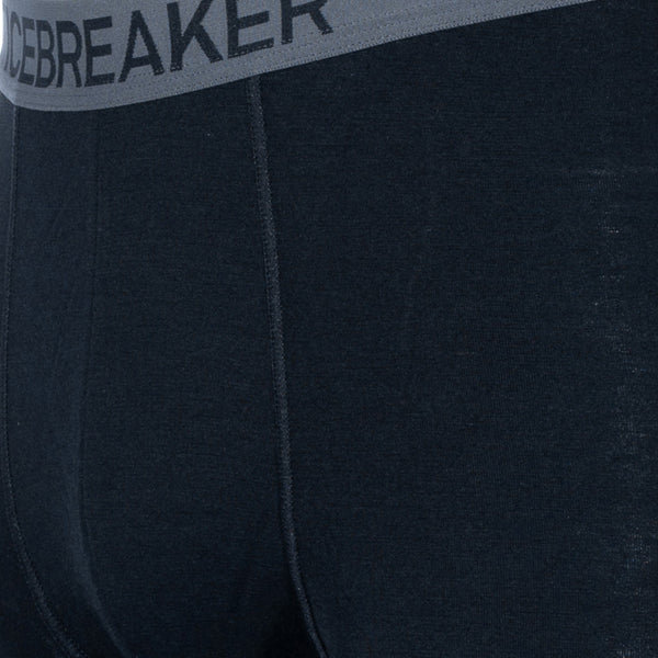 Boxer Anatomica