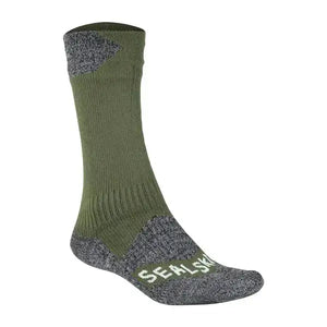 Vert olive Gris