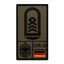 Ecusson de grade Oberstabsfeldwebel Luftwaffe