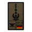 Insigne de grade Oberstarzt Luftwaffe