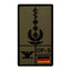 Insigne de grade Oberstarzt Luftwaffe