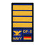 Insigne de grade Kapitän zur See