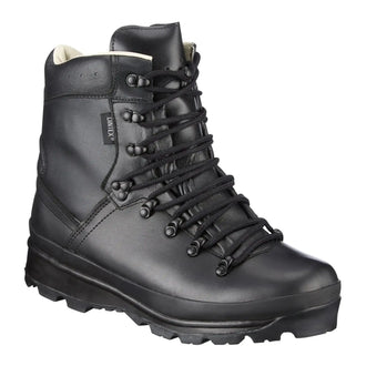 Chaussures de montagne BW