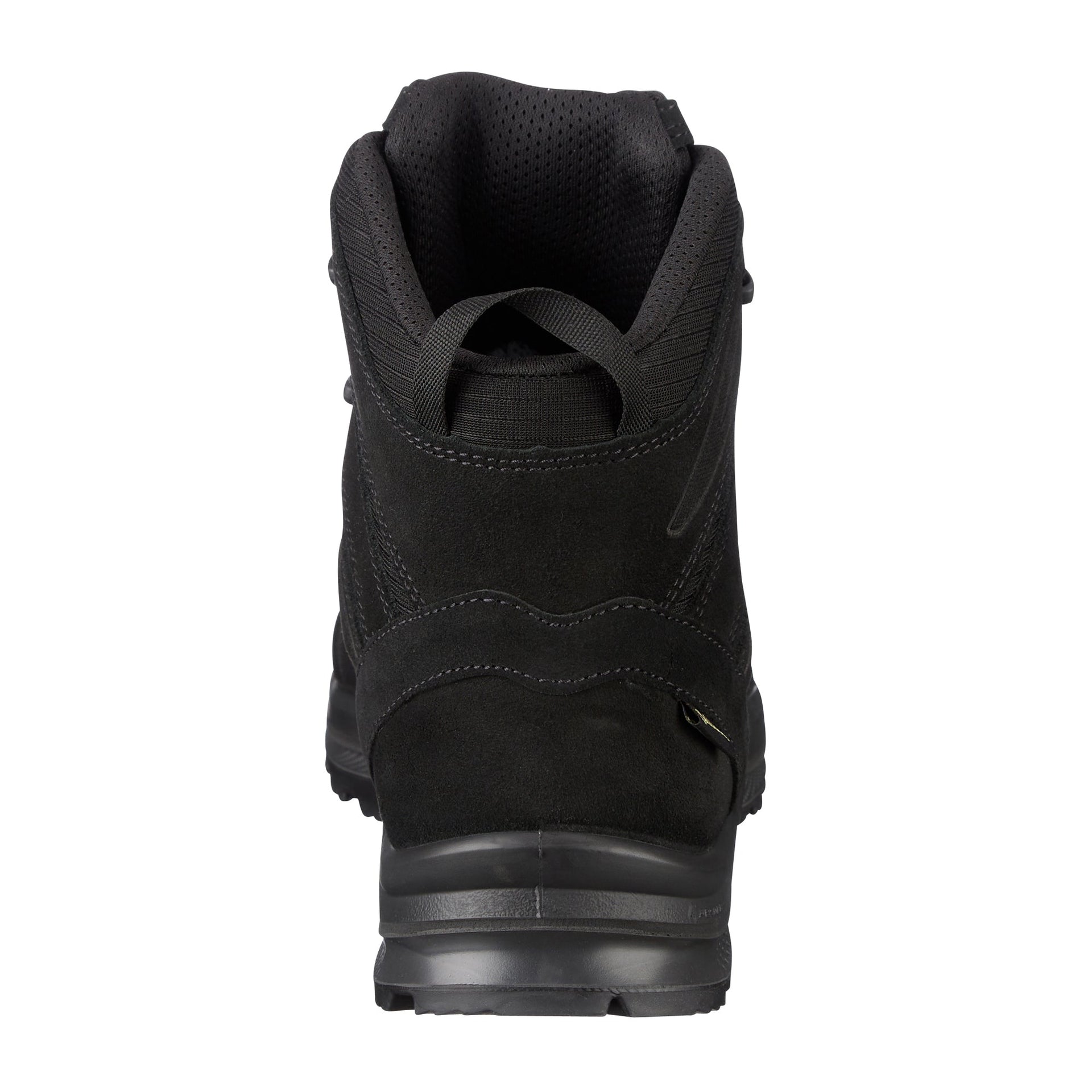 Chaussures Black Eagle Athletic 2.0 V GTX