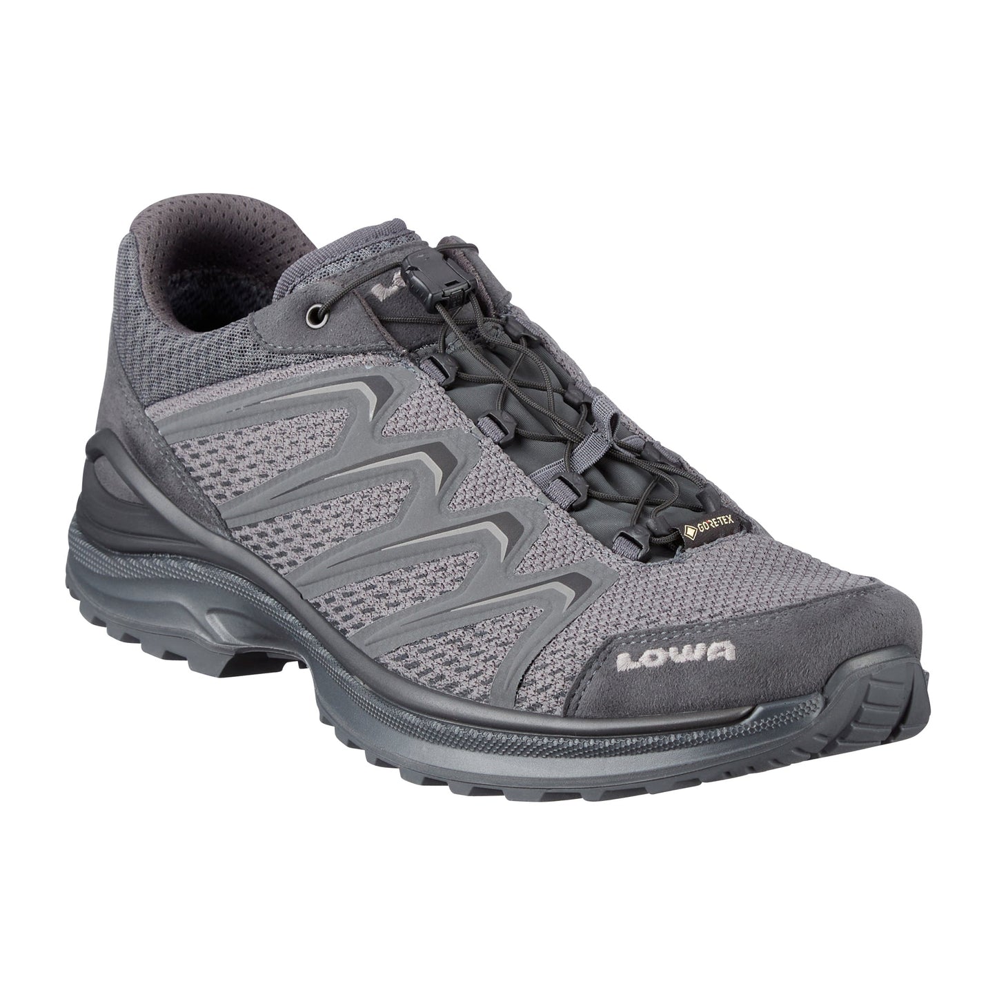 Chaussures Maddox GTX Lo TF  loup