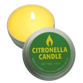 Bougie à la citronnelle