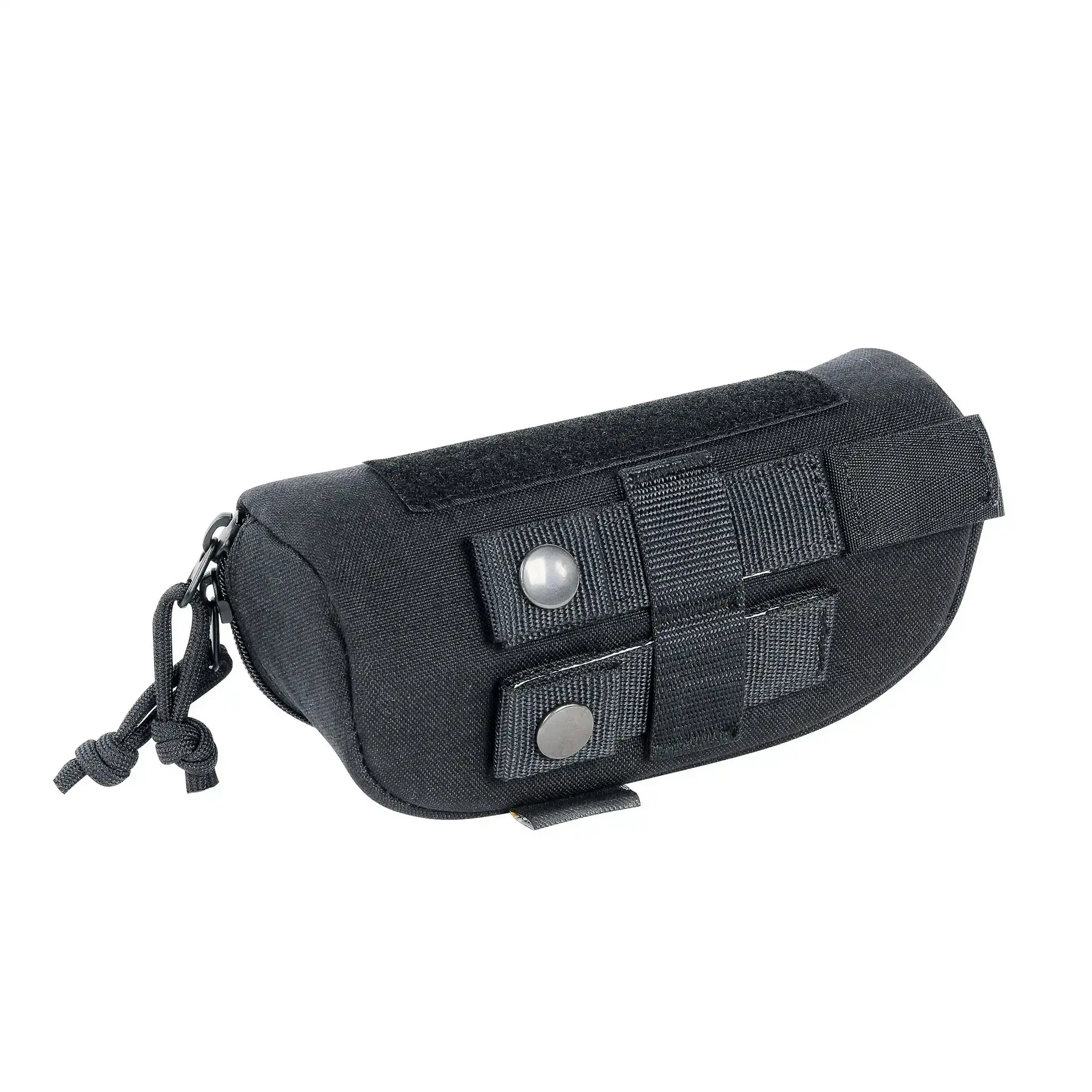 Tasmanian Tiger Brillenetui TT Eyewear Safe - ASMC
