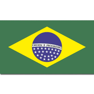 Drapeau Brésil