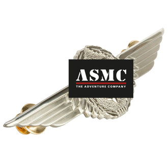 Insigne BW pilote d’aéronef métal couleur argent