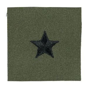 Brigadier General