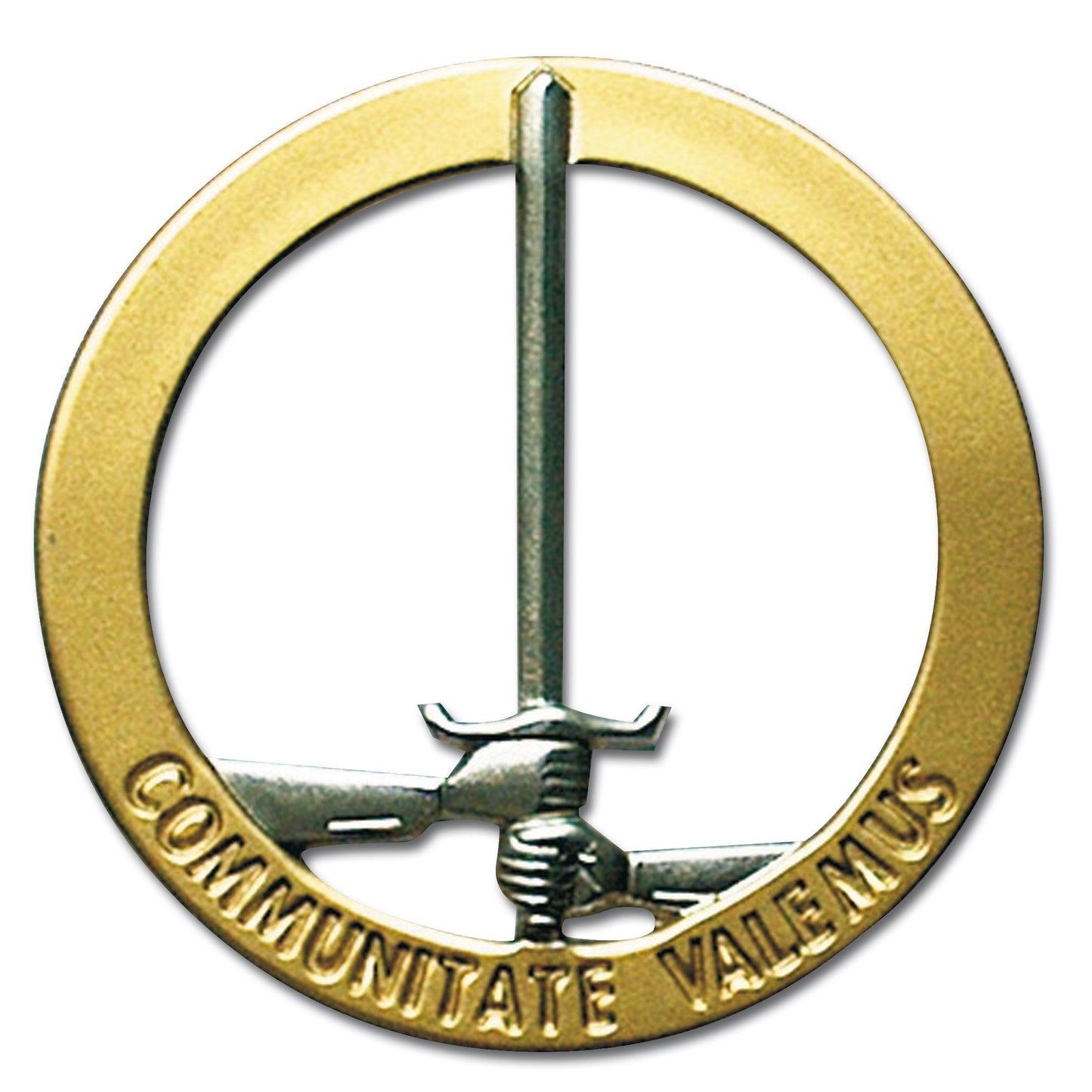Insigne de béret Corps Allemagne/Hollande