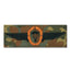 Insigne Fallschirmspringer BW bronze/
