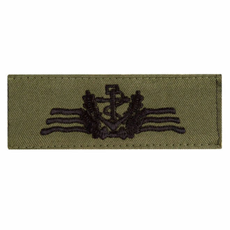 Insigne d’activité BW Personnel navigant