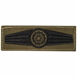 Insigne de spécialité BW personnel technique