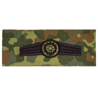 Insigne de spécialité BW personnel technique