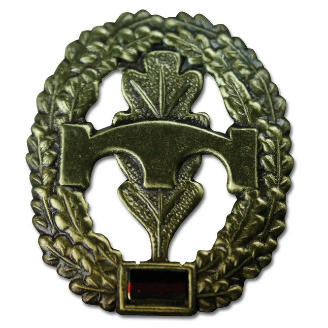 fritzsch-abzeichen-bw-barett-pioniertruppe-ansicht-2