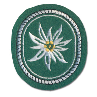 Insigne tissu 1. Gebirgsdivision