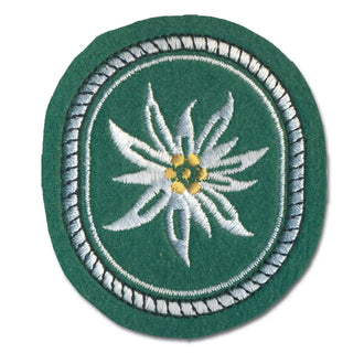 Insigne 1re division de montagne textile