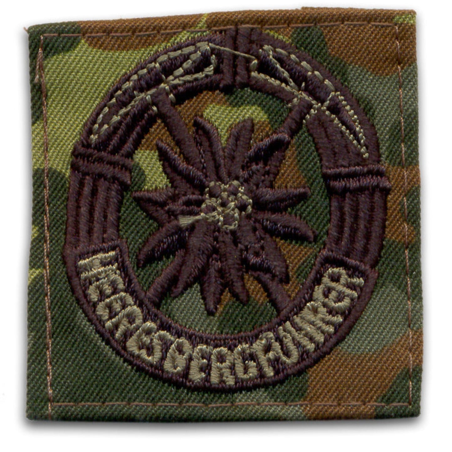 Insigne BW Heeresbergführer