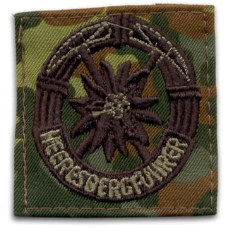 Insigne BW guide de montagne de l’armée de terre
