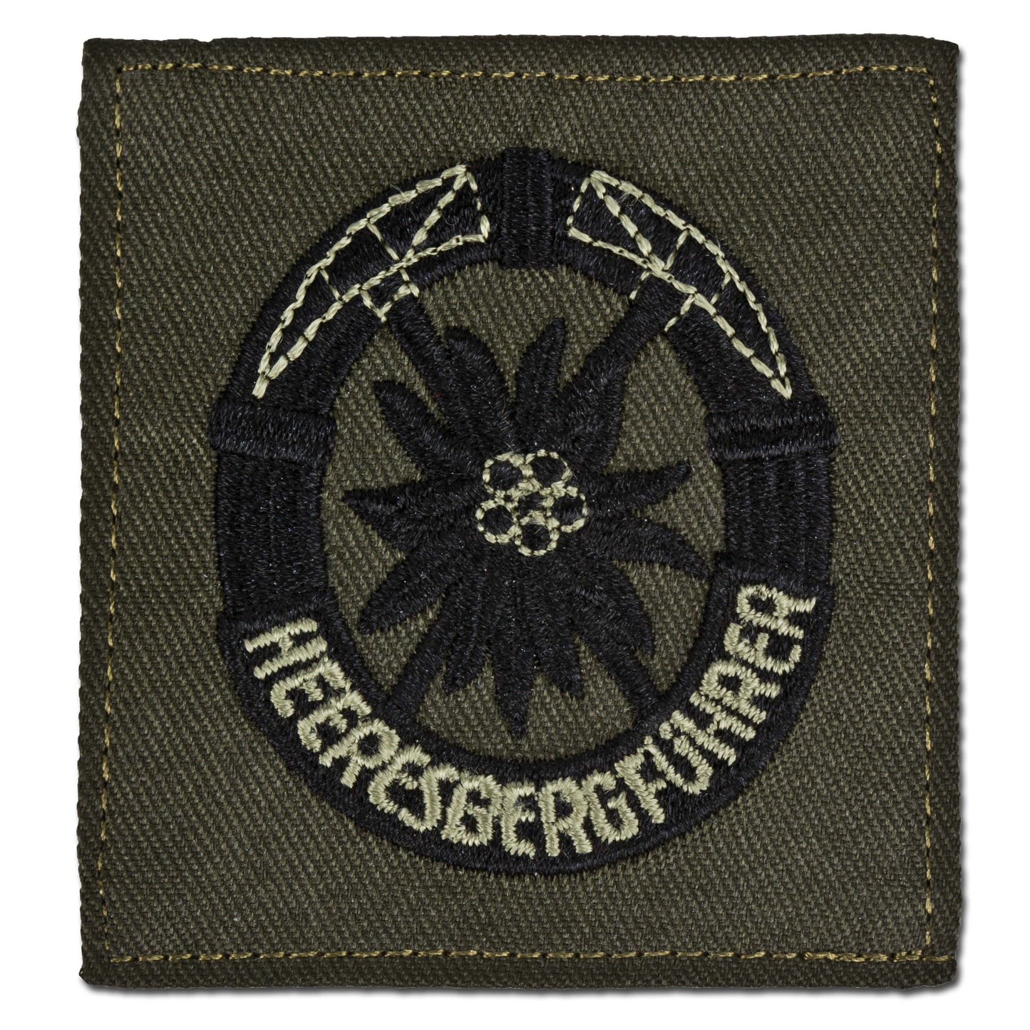 Insigne BW Heeresbergführer
