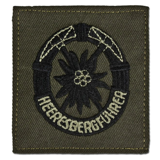 Insigne BW guide de montagne de l’armée de terre