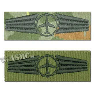 Insigne de spécialité BW personnel logistique