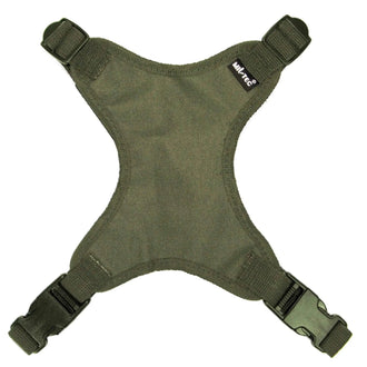 Araignée de casque de combat