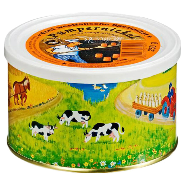 katadyn-pumpernickel-250-g-ansicht-1