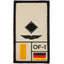 Patch Grade Leutnant Armée de l'Air