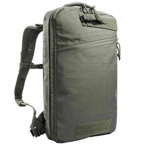 Gris pierre Vert olive
