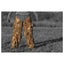 ghosthood-tarnzubehoer-ghost-legs-ansicht-8
