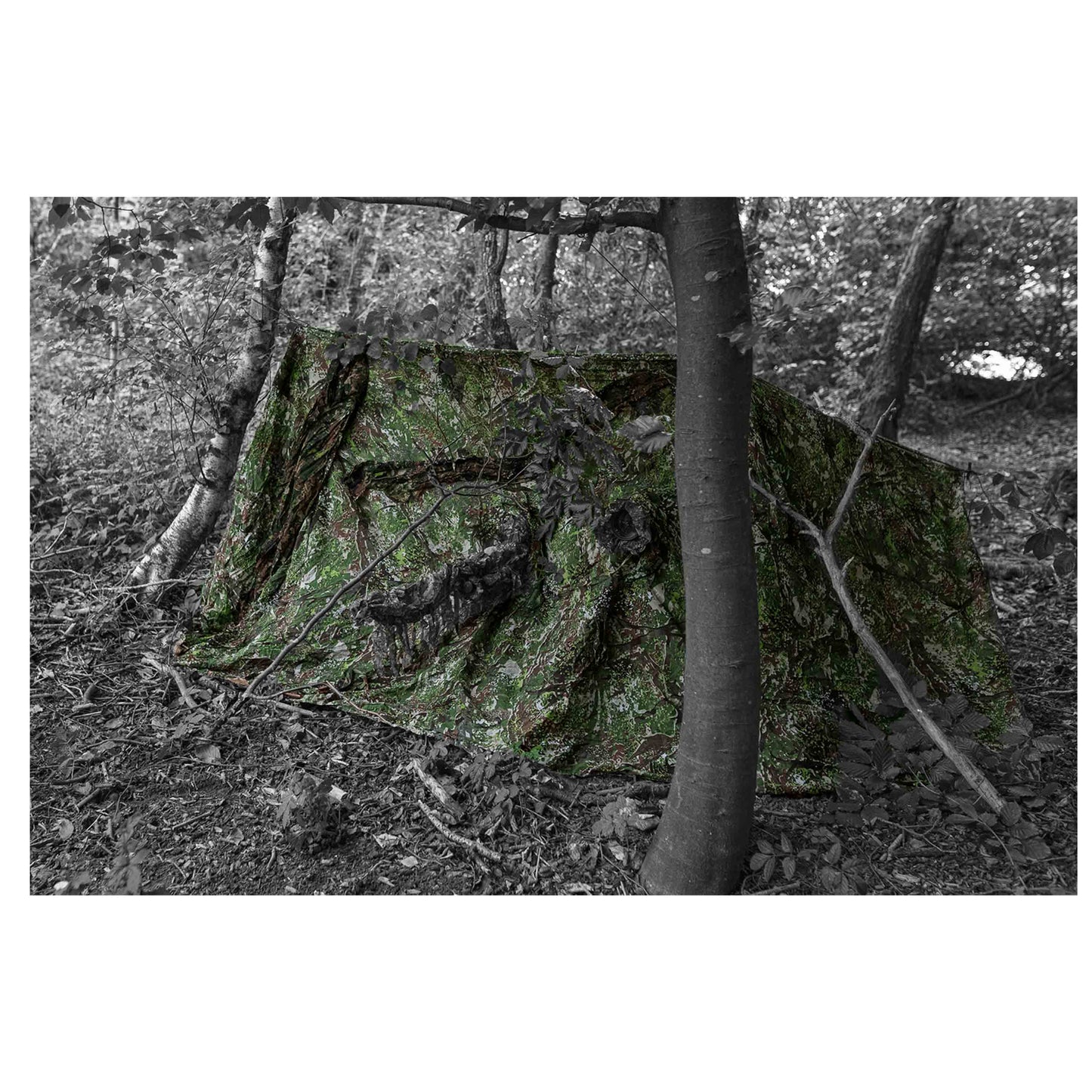 Filet de  Recce Net con green