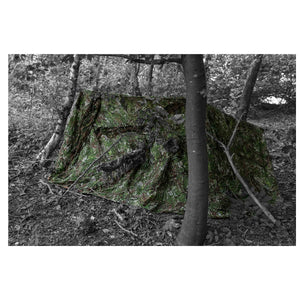Filet de  Recce Net con green