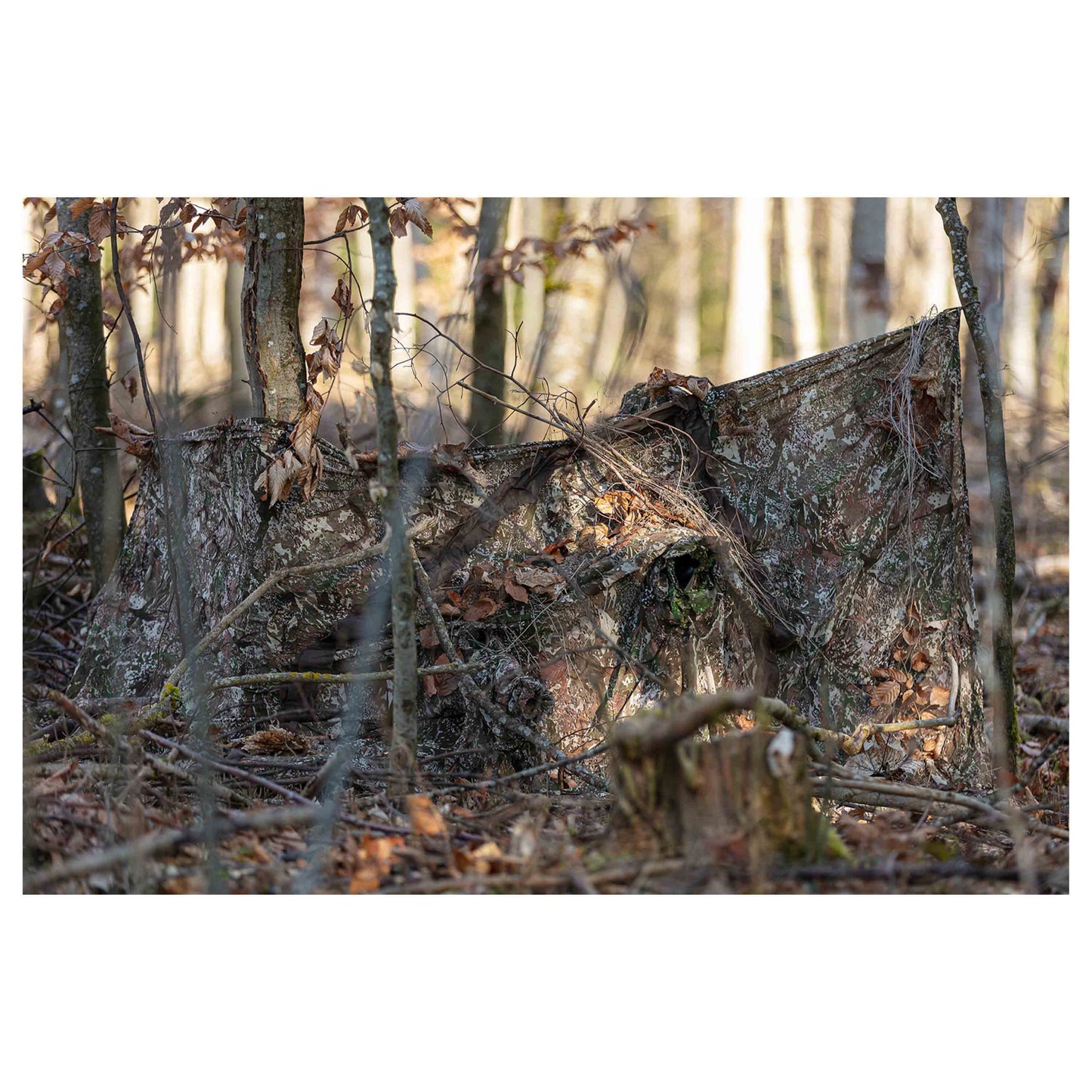 Filet de  Recce Net con green