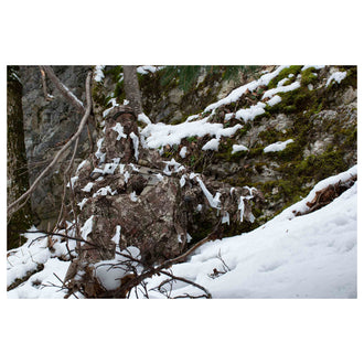 Bandes de  Strip Solid snow white