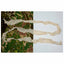 Bandes de  Strip Solid snow white