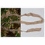 Bandes de  Strip Solid snow white