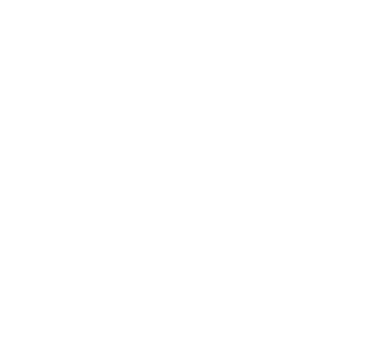 Les 9 de Hoppe