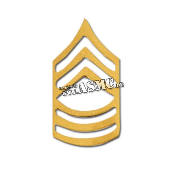 Grade US Métallique Master Sergeant polis