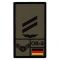 Café Viereck Patch grade Obergefreiter Luftwaffe olive